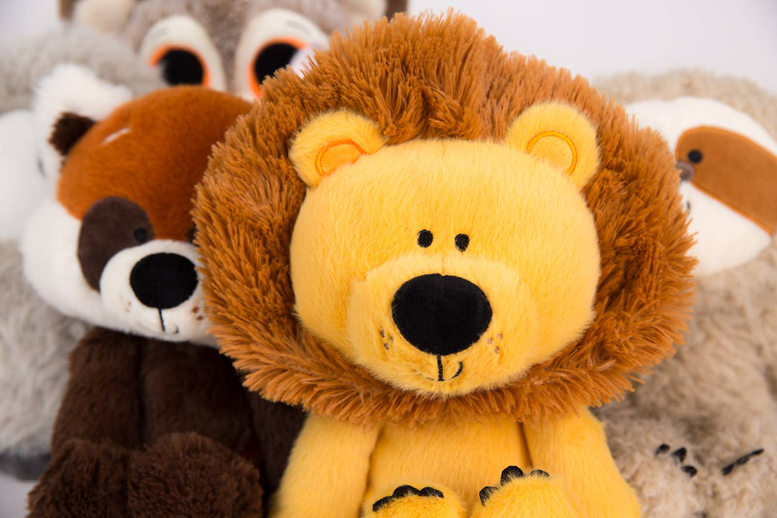 Zoo Crew Lennon the Lion - Image 4