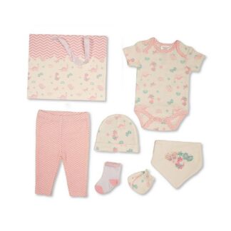 Layette Set - Butterflies and Dino