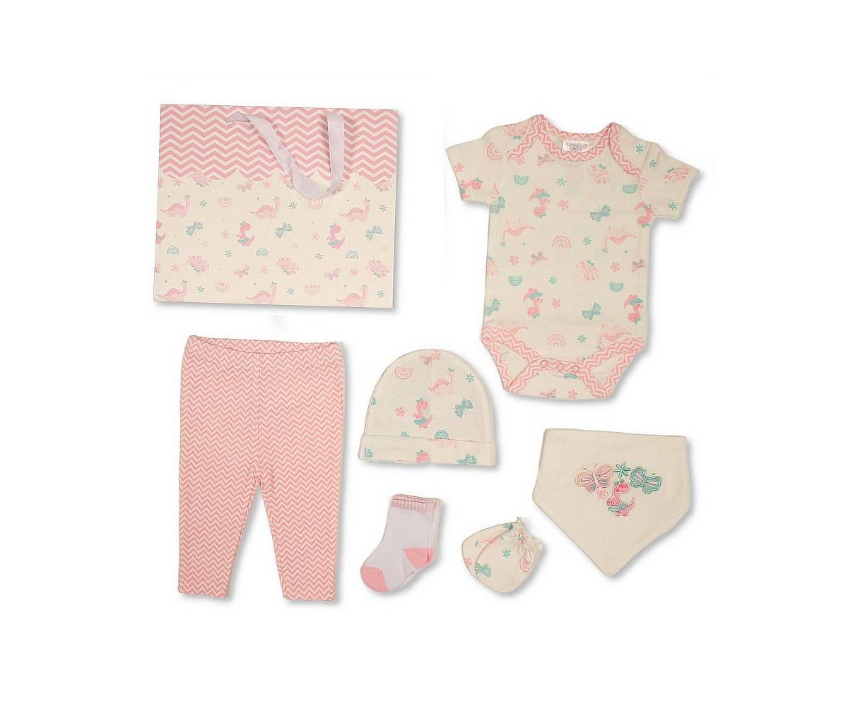 Layette Set - Butterflies and Dino