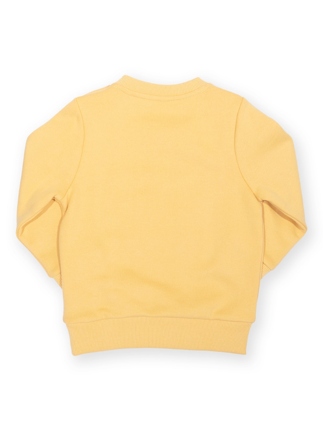 Clever Fox Sweatshirt - Image 2